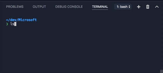 60 frames per second is now possible in the terminal