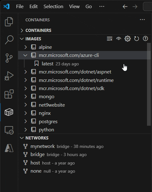 Container Explorer context menu