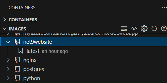 Verify Docker image exists