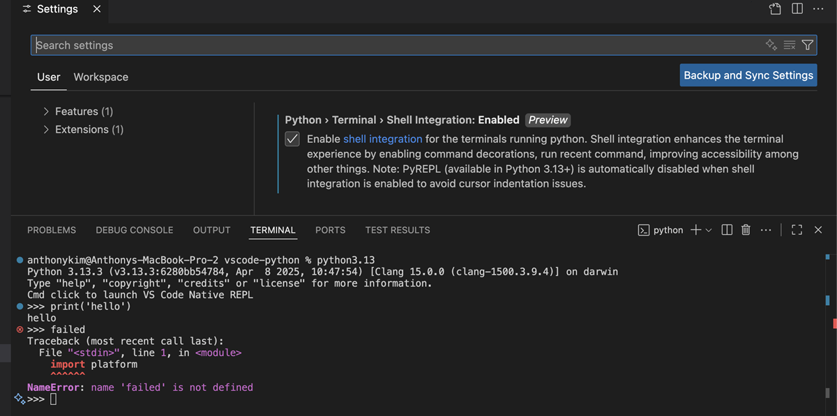 Screenshot showing the Python shell integration setting in the Settings editor.