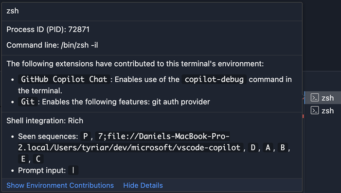 Screenshot of the detailed hover showing extensions that contribute to the environment and detailed shell integration diagnostics